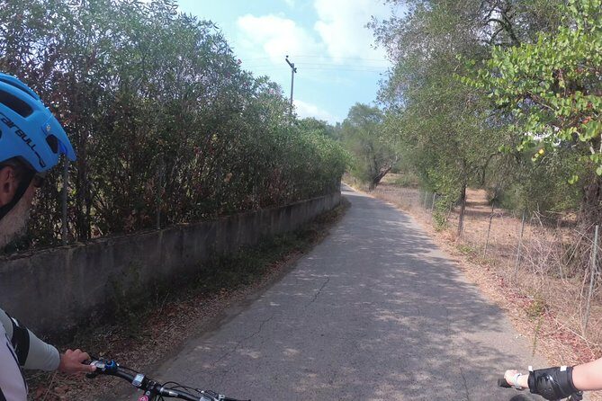 e-MTB Tour - Durrells Farm & Crab Lake [30Km - 18Mi] - From Corfu Town or Gouvia into Poulades: olive groves and bird life